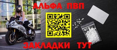 бошки Кингисепп