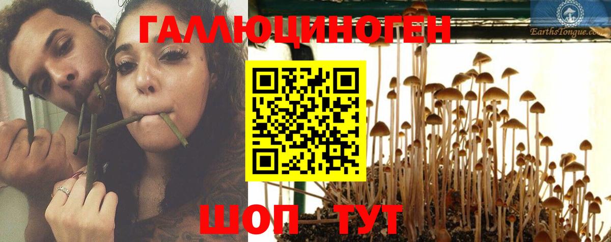 Галлюциногенные грибы мицелий  Вход с VPN  Псилоцибиновые грибы Magic Shrooms  Коркино 